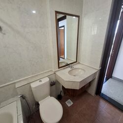 Twin Heights (D12), Apartment #504537191